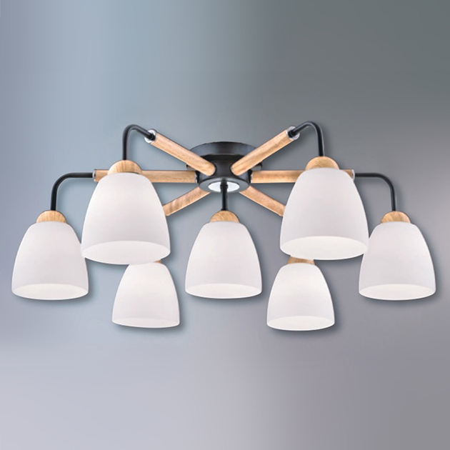 奧墨吸頂燈-7燈