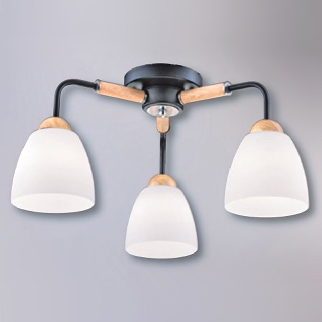 奧墨吸頂燈-3燈